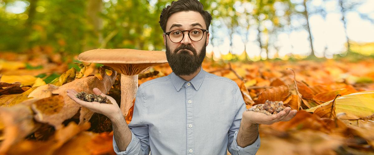 Verschillende Soorten Magische Truffels